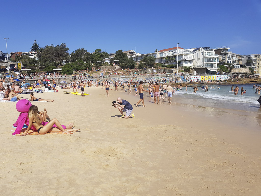 The Pink Bear enjoying a break on the beach
