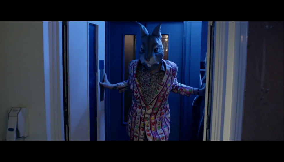 Lead down the rabbit hole